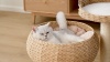 Show in main carousel: Petpals 16-in 2 Level Cat Nest Beds with Scratching Post, Beige slide 11 of 11