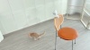 Show in main carousel: Potaroma Indoor Automatic Chargeable Smart Sensor Interactive Laser Cat Toy, Cream White slide 7 of 7