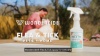 Show in main carousel: Wondercide Natural Flea, Tick & Mosquito Spray for Dogs & Cats, Rosemary, 16-fl oz bottle slide 10 of 11