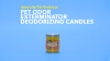 Show in main carousel: Pet Odor Exterminator Pineapple Coconut Deodorizing Candle, 13-oz slide 4 of 5