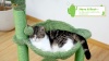 Show in main carousel: PAWZ Road 40-in Polyester Cactus Cat Tree Tower & Condo with Large Metal Carpet Hammock, Green slide 9 of 9