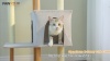 Show in main carousel: PAWZ Road 53-in Polyester Wood Cat Tree & Large Perch, Condo, Medium, Beige slide 8 of 8