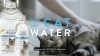 Show in main carousel: CatWater pH Balanced Urinary Support Cat Water, 135.2-oz, 2 count slide 6 of 7