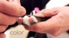 Show in main carousel: Dog Fashion Spa Nail Polish, Happy Paw Hot Pink slide 3 of 4
