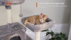 Show in main carousel: PAWZ Road 70.9-in Polyester Cat Tree & Condo, Dark Gray slide 10 of 11
