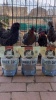 Show in main carousel: Scratch and Peck Feeds Chicken & Duck Essential Supplement Layer Grit, 7-lb pouch slide 9 of 9