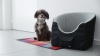 Show in main carousel: TRIXIE Dog Car Booster Seat, Black, 15.7 x 19.7 x 14.6-in slide 8 of 9