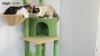 Show in main carousel: PAWZ Road 112-in Adjustable Polyester Floor-to-Ceiling Cat Tree & Condo, Green slide 9 of 10