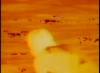 Okeanos with soundtrack thumbnail