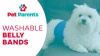 Show in main carousel: Pet Parents Washable Belly Band Male Dog Diapers, Dog Wraps & Extendrs, Black, X-Small: 11 to 13-in waist, 3 count slide 9 of 10