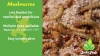 Show in main carousel: Josh's Frogs Mealworms Live Feed Reptile Food, 1100 count slide 9 of 9