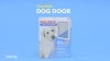 Show in main carousel: Dog Mate Dog Door, Small slide 6 of 7