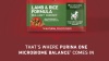 Show in main carousel: Purina ONE Natural Small Bites Beef & Rice Formula High-Protein Dog Food, 31.1-lb bag slide 12 of 12