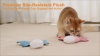 Show in main carousel: Fashion's Talk Flying Squirrel Plush Kicker Chew Cat Toy with Catnip Crinkles, Pink/Blue, 2 count slide 5 of 5
