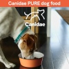 Show in main carousel: CANIDAE Pure Real Lamb & Brown Rice Recipe Dry Dog Food, 22-lb bag slide 10 of 10
