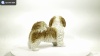 Show in main carousel: Hi-Line Gift Standing Shih Tzu Statue, Brown & White, 10.04-in slide 9 of 9