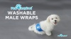 Show in main carousel: Paw Inspired Belly Band Male Dog Wrap Washable, Black, Black Lining, X-Small, 3 count slide 8 of 9