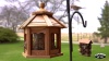 Show in main carousel: Dr. Pol Cedar Gazebo Bird Feeder slide 8 of 9