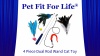 Show in main carousel: Pet Fit For Life 4 Piece Dual Rod Wand Cat Toy slide 9 of 10