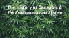 Cannabis History
