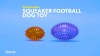 Show in main carousel: Gnawsome Squeaker Football Dog Toy, Color Varies, Medium slide 8 of 9