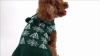 Show in main carousel: CuteBone Snowflake Dog Sweater Dress, Green, X-Small slide 10 of 10