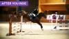 Show in main carousel: Funky Unicorn Gastric Support Antacid Mint Chew Horse Supplement, 7-oz pouch slide 5 of 5