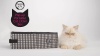 Show in main carousel: Necoichi Portable Cat Litter Box slide 6 of 7