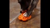 Show in main carousel: GURU Distracto-Pod Bone Suction Cup Treat & Paste Dog Toy slide 11 of 11