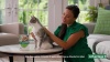 Show in main carousel: Advantage II Flea Spot Treatment for Cats, over 9 lbs, 6 Doses (6-mos. supply) slide 9 of 10