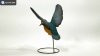 Show in main carousel: Hi-Line Gift 11.02-in Flying-off Kingfisher Statue Outdoor Decor slide 8 of 8