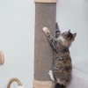 Show in main carousel: FurHaven Ascentials Treehugger Cat Scratcher, Bamboo slide 10 of 11