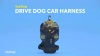 Show in main carousel: EzyDog Drive Dog Car Harness, Medium slide 9 of 11