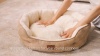 Show in main carousel: Bedsure Round Orthopedic Bolster Anti-Slip Puppy & Kitten Bed with Washable Pillow Cushion, Camel, Medium slide 8 of 10
