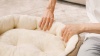 Show in main carousel: Bedsure Round Orthopedic Bolster Anti-Slip Puppy & Kitten Bed with Washable Pillow Cushion, Camel, Medium slide 9 of 10