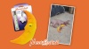 Show in main carousel: Meowijuana Refillable Get Hung Moon & Stars Cat Toy slide 9 of 10