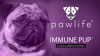 Show in main carousel: Pawlife Immune Pup Allergy + Digestive Support Salmon Flavor Soft Chews Dog Supplement, 120 count slide 8 of 9